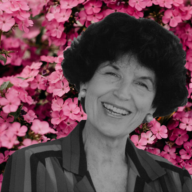 Segunda carta a Helena Araújo