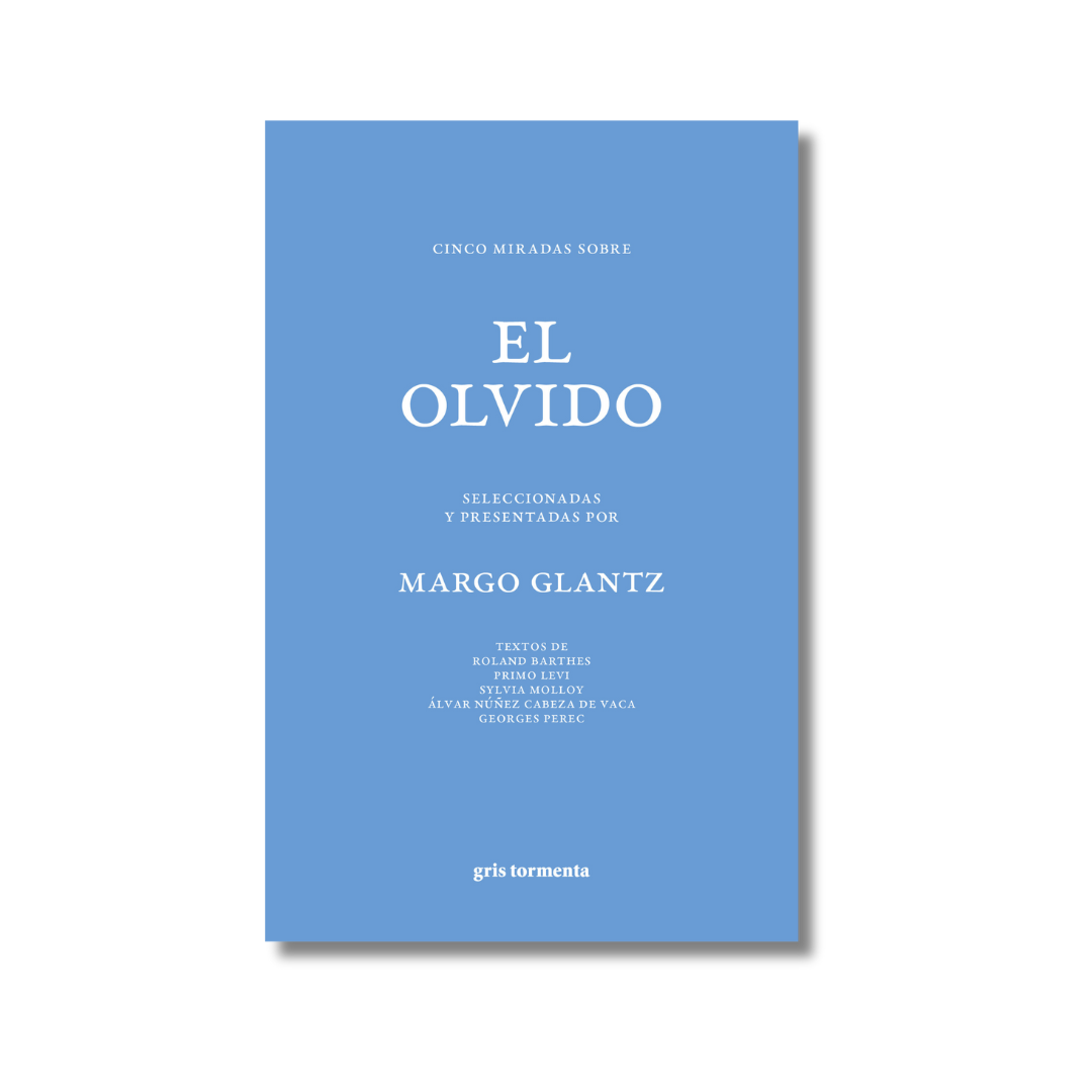 Cinco miradas sobre el olvido