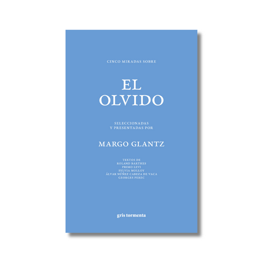 Cinco miradas sobre el olvido