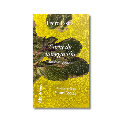 Carta de navegación