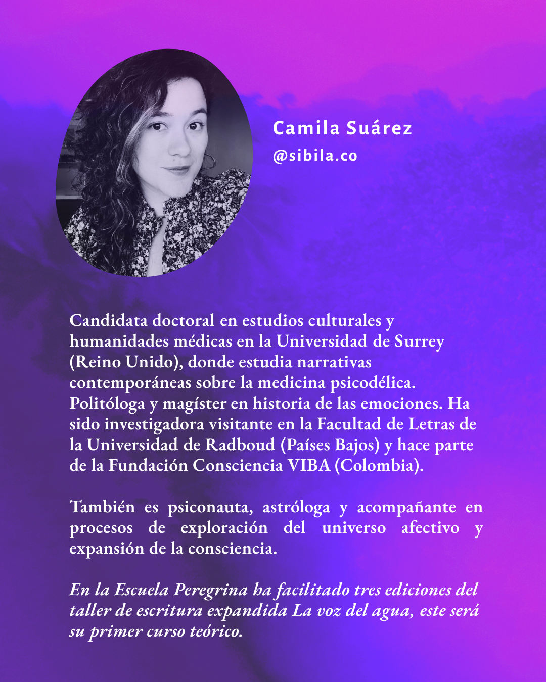 curso: la mirada psicodélica