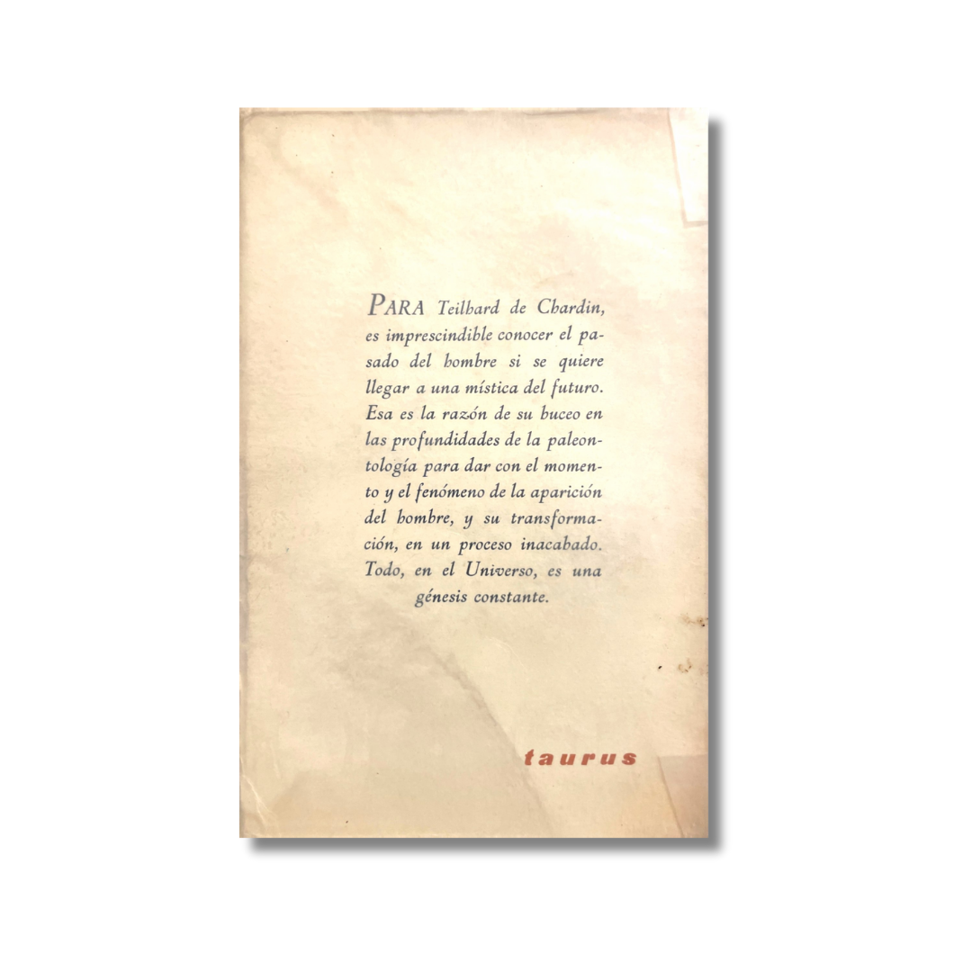 La visión del pasado