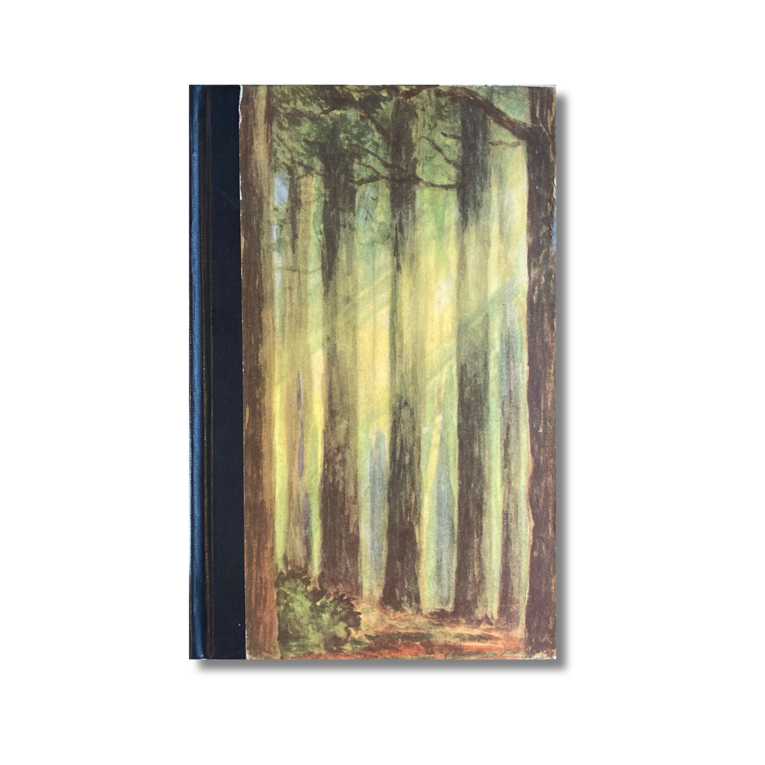 The essays of Ralph Waldo Emerson