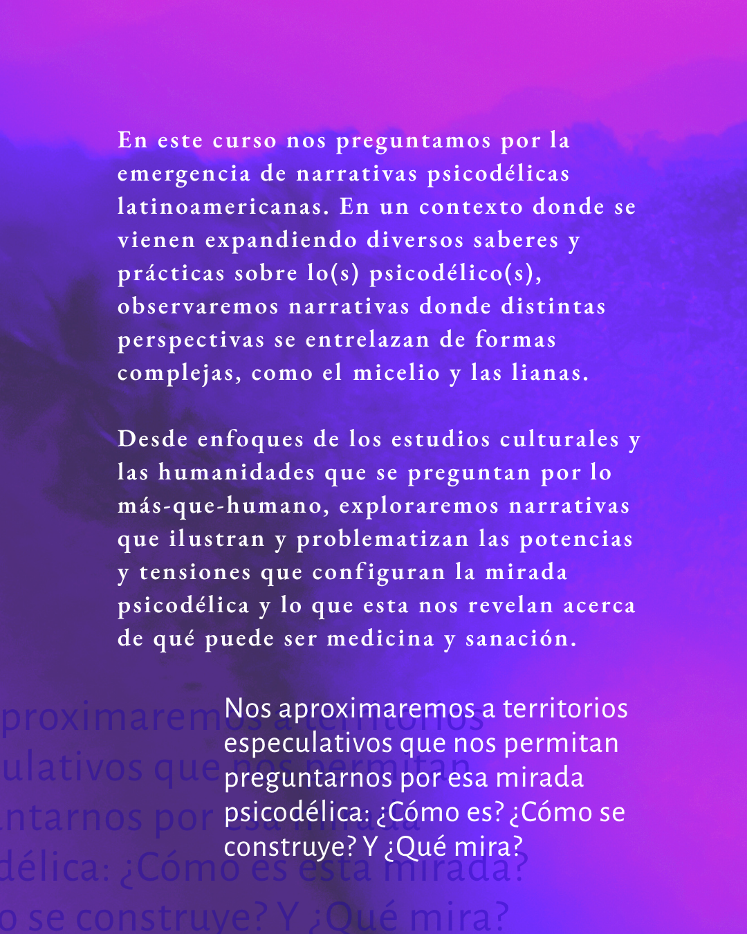 curso: la mirada psicodélica