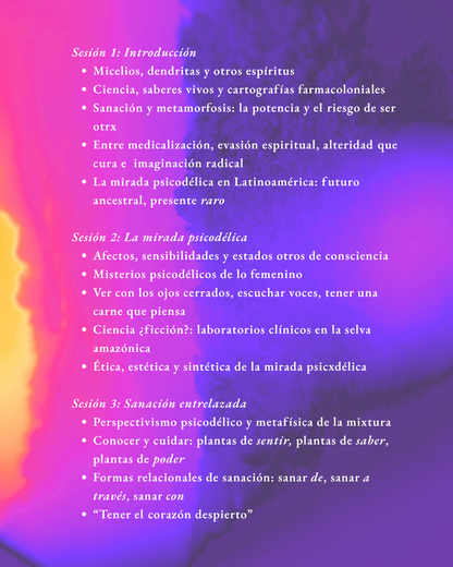 curso: la mirada psicodélica