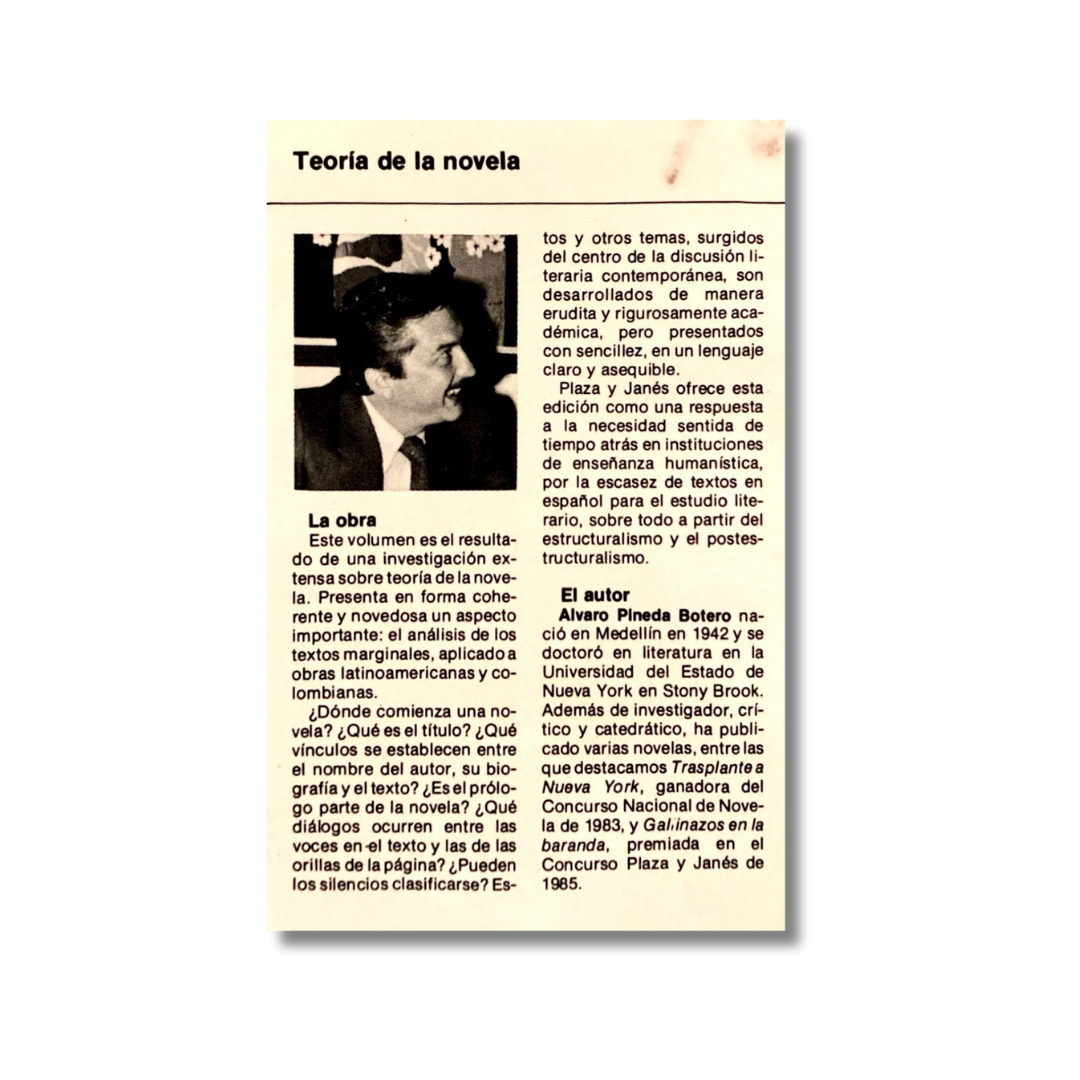 Teoría de la novela