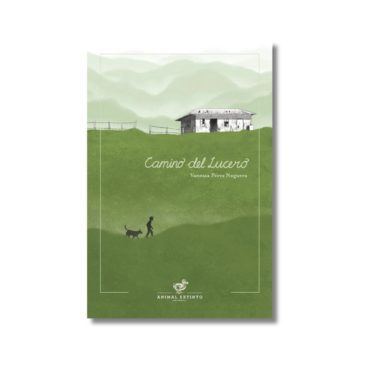 Camino del lucero
