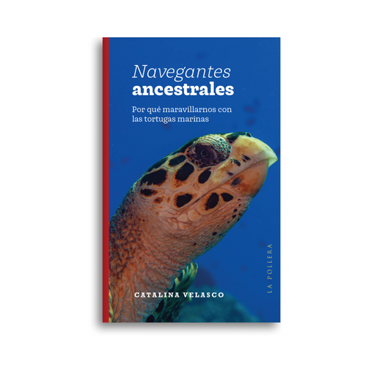 Navegantes ancestrales